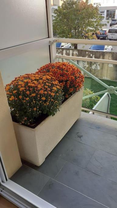 Appt Centre Ville "Parc Olympe De Gouges" Avec Garage アンヌマス エクステリア 写真